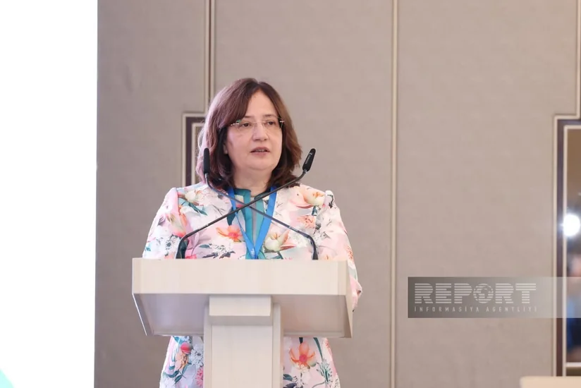 Fatma Varank: İqlim maliyyələşdirilməsinə qlobal ehtiyac ildə 7,5-9 trilyon dollar təşkil edir