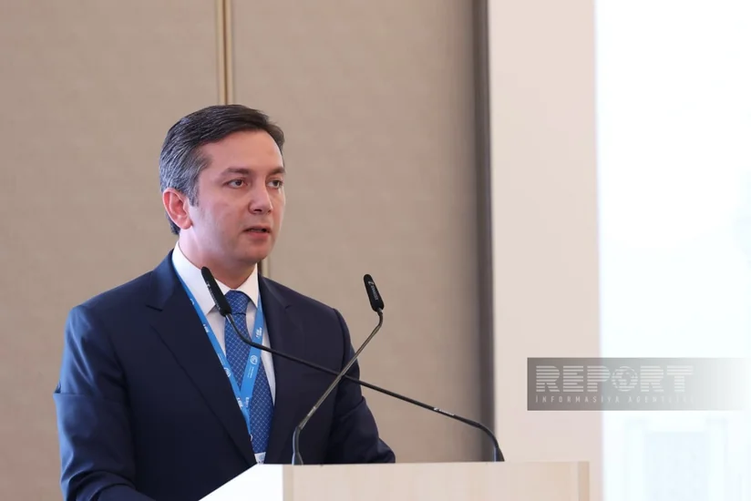 Yalçın Rəfiyev: İqlim dəyişikliyi yalnız dayanıqlılığı deyil, həm də diplomatiyanı sınağa çəkir