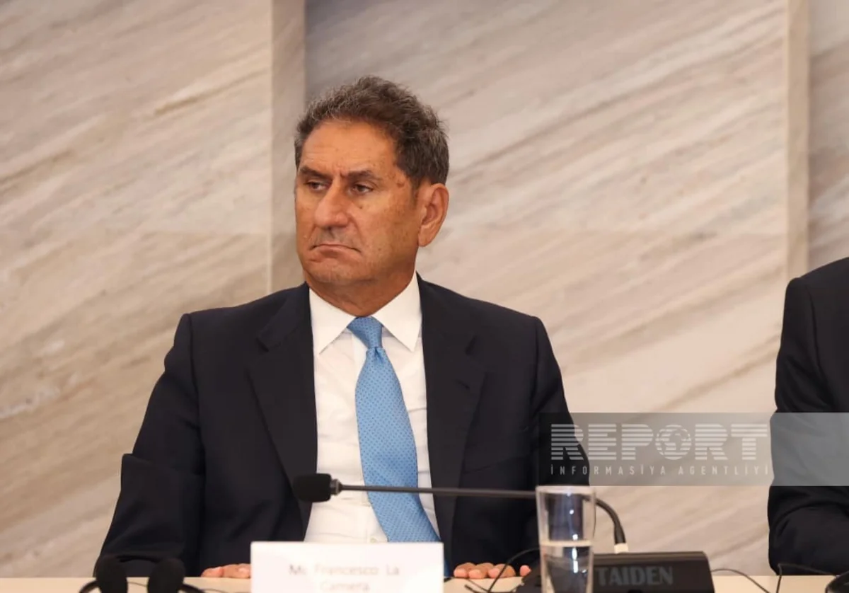 Countries can reduce dependence on imported fuel through electrification, IRENA chief says