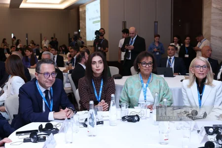 Baku hosting UNFCCC Climate Week 4