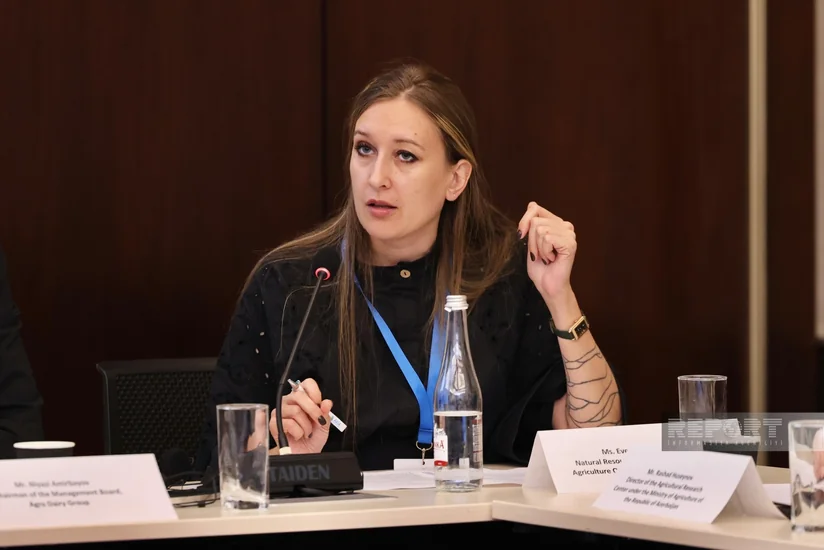 FAO: Baku Harmoniya initiative aims to improve farmers' access to climate finance