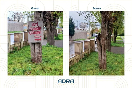 Bakıda və regionlarda ağacların üzərinə vurulmuş yüzlərlə reklam qurğusu sökülüb