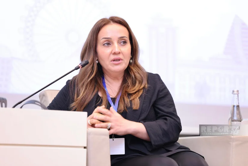 IFC calls for unified standards to expand green investment