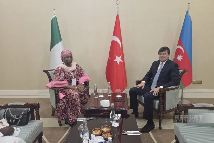 Azerbaijan discusses diaspora cooperation with Pakistan, Nigeria