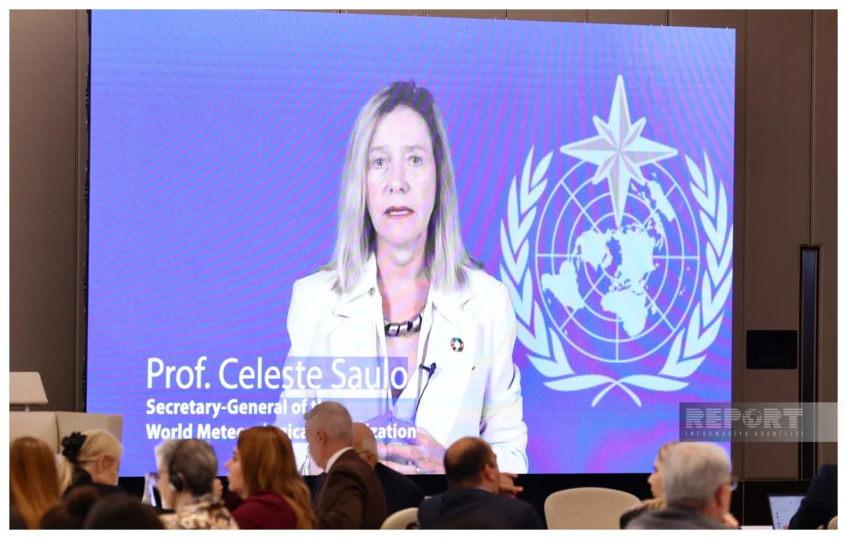 AI can reduce climate forecast preparation to minutes, WMO secretary-general says