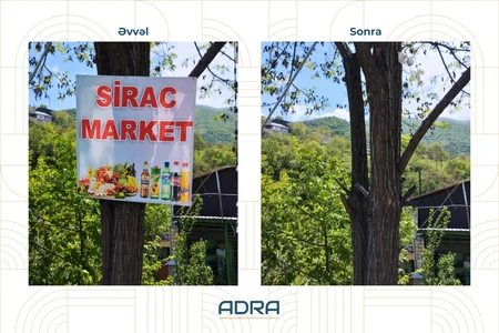 Bakıda və regionlarda ağacların üzərinə vurulmuş yüzlərlə reklam qurğusu sökülüb