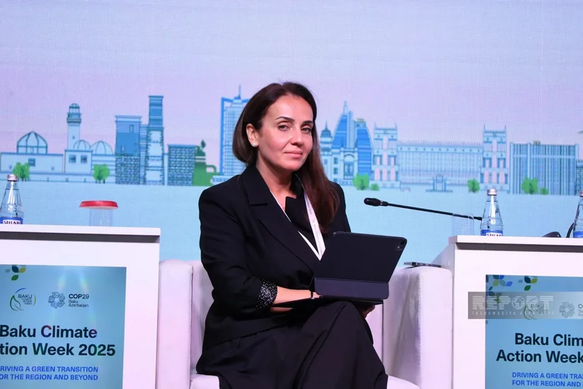 IFC: Sustainable cities require integrated infrastructure planning