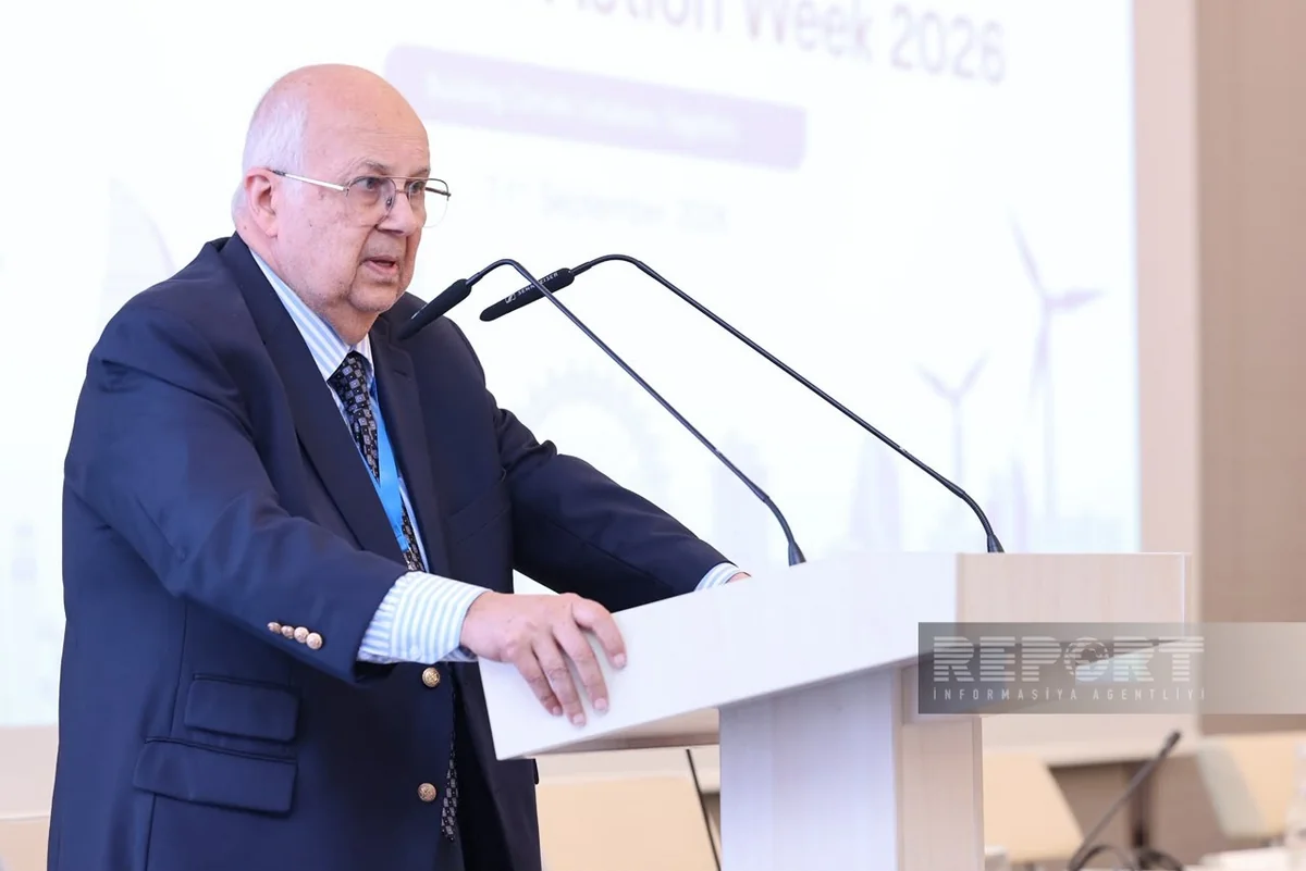 Climate change impacts cannot be ignored - Nizami Ganjavi International Center co-chair