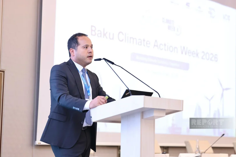 Ministry official: Azerbaijan's AI experience in agriculture is global model