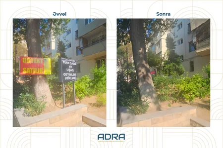 Bakıda və regionlarda ağacların üzərinə vurulmuş yüzlərlə reklam qurğusu sökülüb