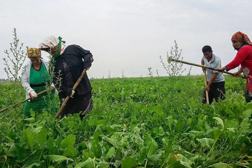 Climate-smart agricultural solutions to be introduced for small farmers