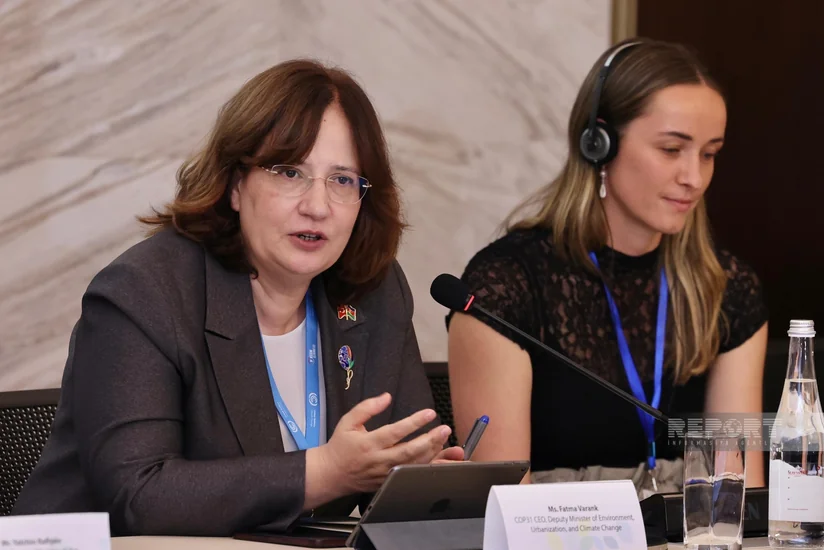 Türkiye seeks to continue COP29 initiatives at COP31