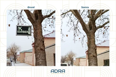 Bakıda və regionlarda ağacların üzərinə vurulmuş yüzlərlə reklam qurğusu sökülüb