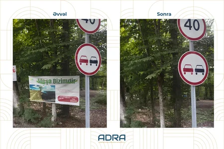 Bakıda və regionlarda ağacların üzərinə vurulmuş yüzlərlə reklam qurğusu sökülüb