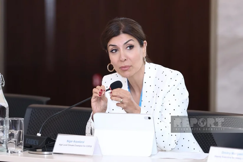 Nigar Arpadarai: Emissiyaların azaldılması prosesinə biznes nümayəndələri də cəlb edilməlidir