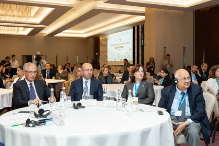 Anar Quliyev Bakı İqlim Fəaliyyəti Həftəsi çərçivəsində panel sessiyada iştirak edib