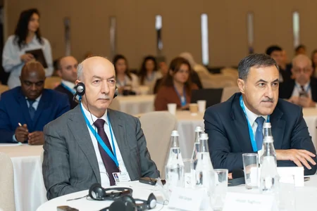 Anar Quliyev Bakı İqlim Fəaliyyəti Həftəsi çərçivəsində panel sessiyada iştirak edib