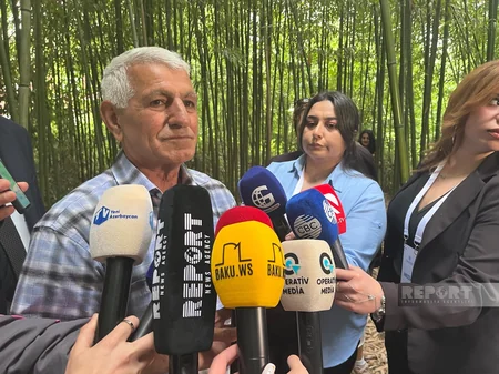 Lənkəranda bambuk yetişdirilən 32 sotluq ərazi xüsusi xəritəyə salınıb