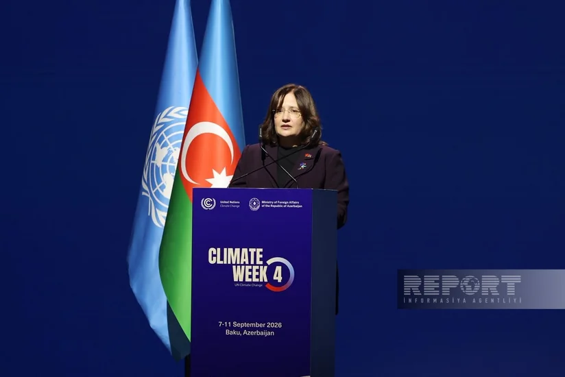 Фатма Варанк: COP29 внес важный вклад в климатическую дипломатию