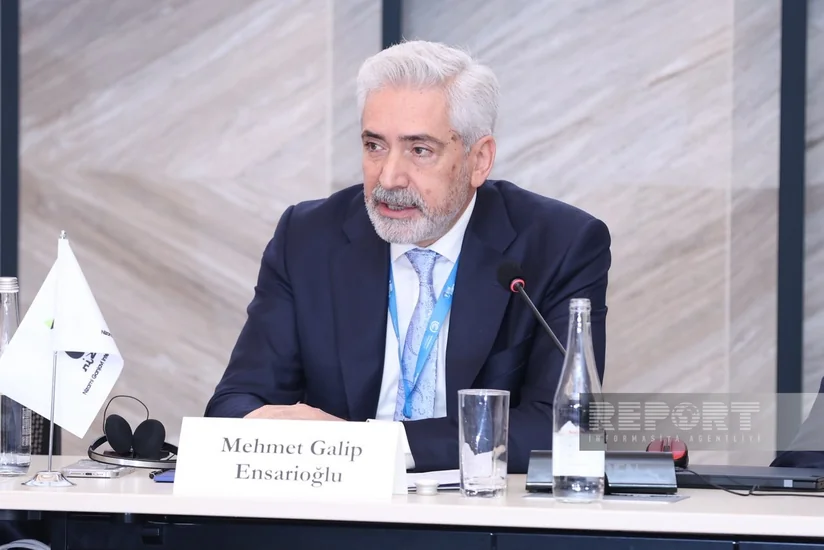 Mehmet Qalib Ensarioğlu: Qlobal iqlim siyasətində əsaslı dəyişikliklərə ehtiyac var