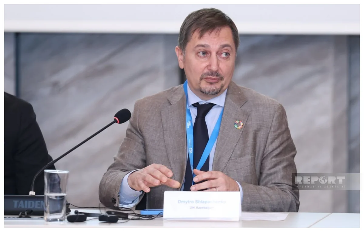 UN ready to help Azerbaijani businesses compete globally