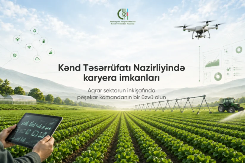 KTN-də Mərkəzləşdirilmiş İşə Qəbul Portalı istifadəyə verilib