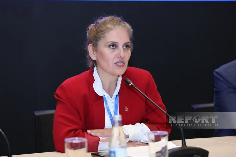Nazli Yenal: Türkiye plans high-level methane dialogue based on COP29 initiatives