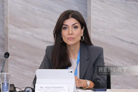 Nigar Arpadarai: Yaşıl və iqlim gündəliyi qlobal gərginliklər fonunda birləşdirici amil ola bilər