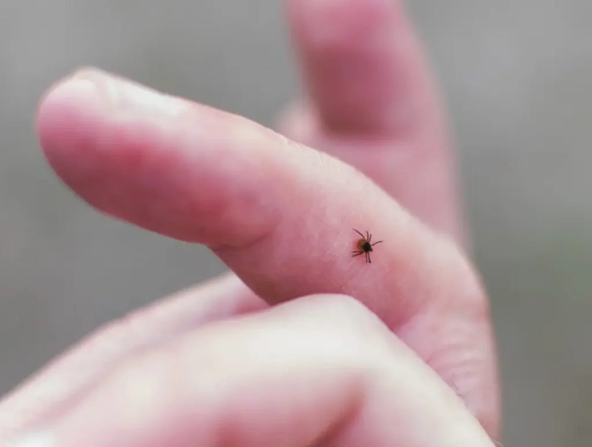 Scientists discover new tick-borne virus in China