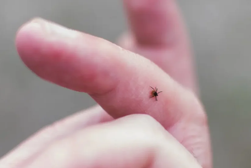 Scientists discover new tick-borne virus in China