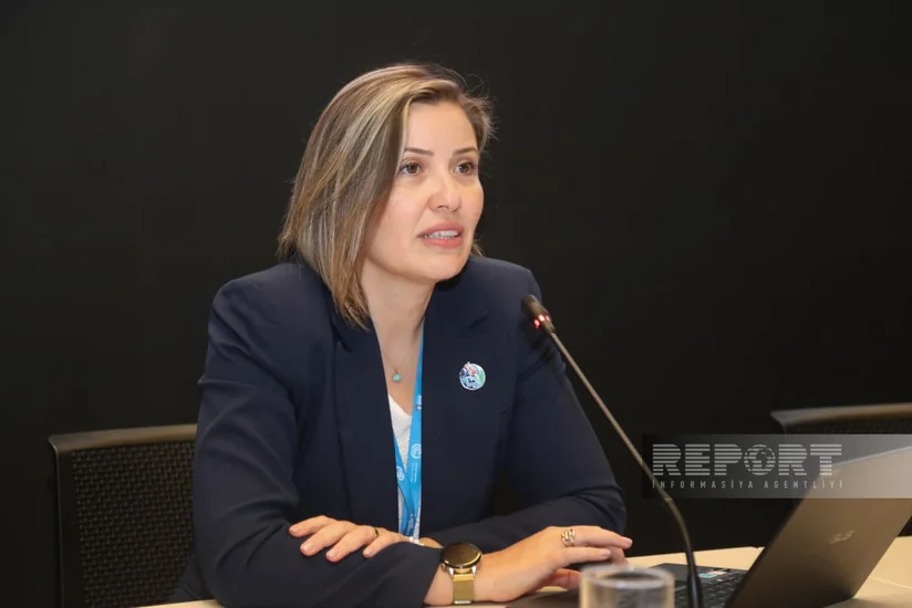 Türkiyə rəsmisi: İqlimə dözümlü şəhər inkişafı üçün yeni yanaşma üzərində işləyirik