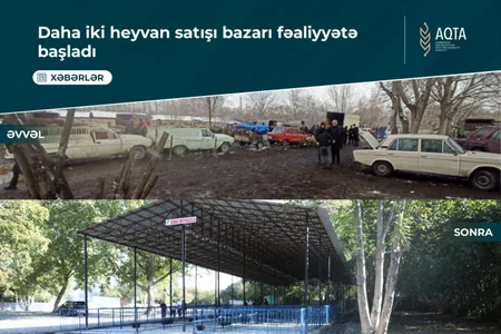 Azərbaycanda fəaliyyətə başlayan heyvan bazarlarının sayı 20-yə çatıb