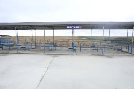 Azərbaycanda fəaliyyətə başlayan heyvan bazarlarının sayı 20-yə çatıb