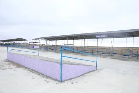 Azərbaycanda fəaliyyətə başlayan heyvan bazarlarının sayı 20-yə çatıb