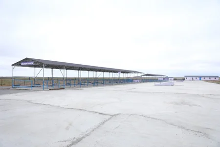 Azərbaycanda fəaliyyətə başlayan heyvan bazarlarının sayı 20-yə çatıb
