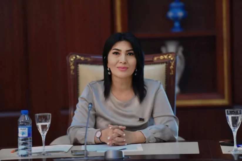 Elnarə Akimova: Təhsil kreditlərinin sosial meyarları müəyyən edilərkən ailənin real gəliri nəzərə alınmalıdır