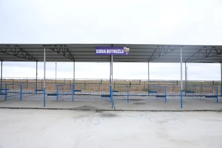 Azərbaycanda fəaliyyətə başlayan heyvan bazarlarının sayı 20-yə çatıb