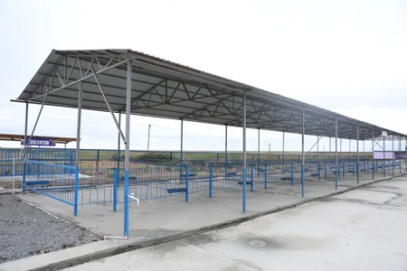 Azərbaycanda fəaliyyətə başlayan heyvan bazarlarının sayı 20-yə çatıb