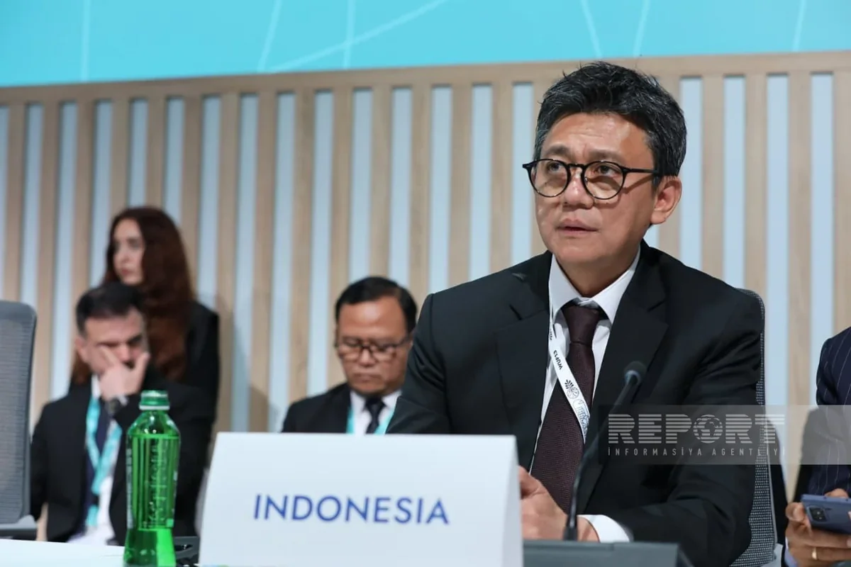 Ambassador: Indonesia ready to develop co-op with Azerbaijan in renewables, digitalization