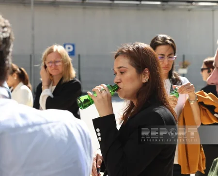 Foreign diplomats tour Istisu plant in Kalbajar