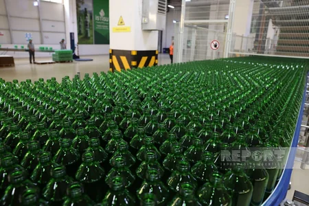 Foreign diplomats tour Istisu plant in Kalbajar