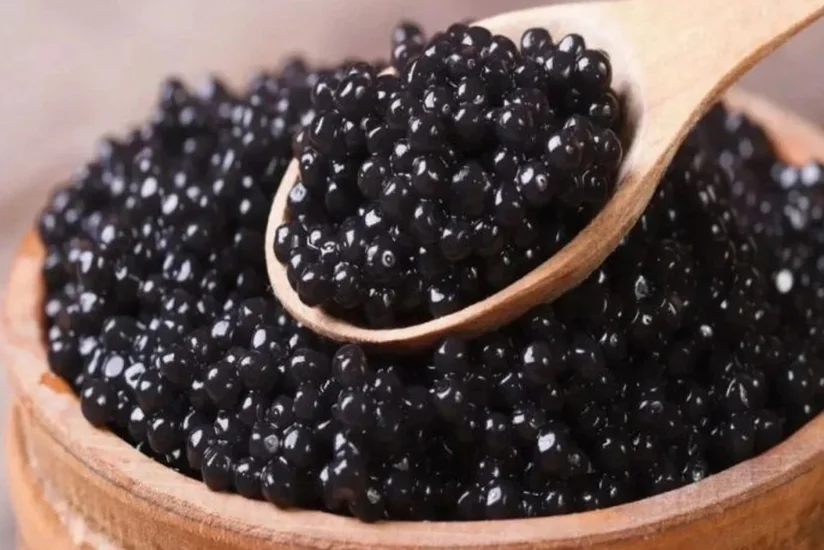 Türkiye studies Azerbaijan's experience in caviar production