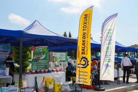 Ağcabədidə Aqrar Biznes Festivalı və Toxum Sərgi-Satış Yarmarkası keçirilib