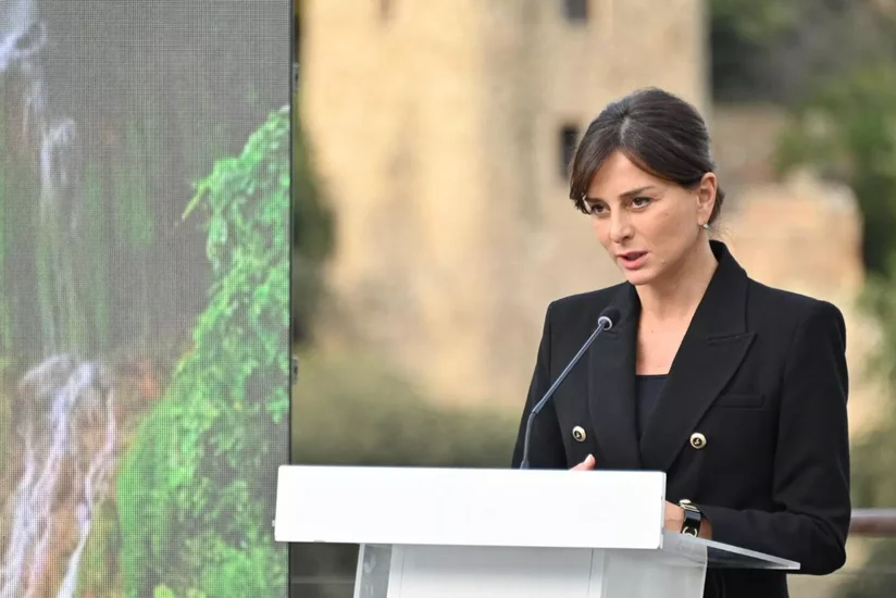 Gürcüstanın yeni mədəniyyət naziri təyin edilib