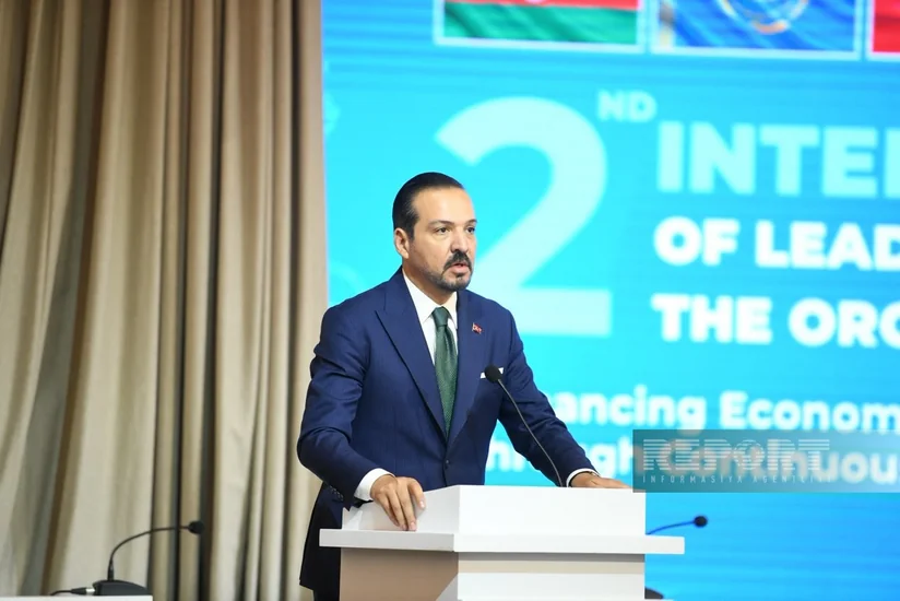 Turkish MP: Turkic world becoming strategic hub in global economy