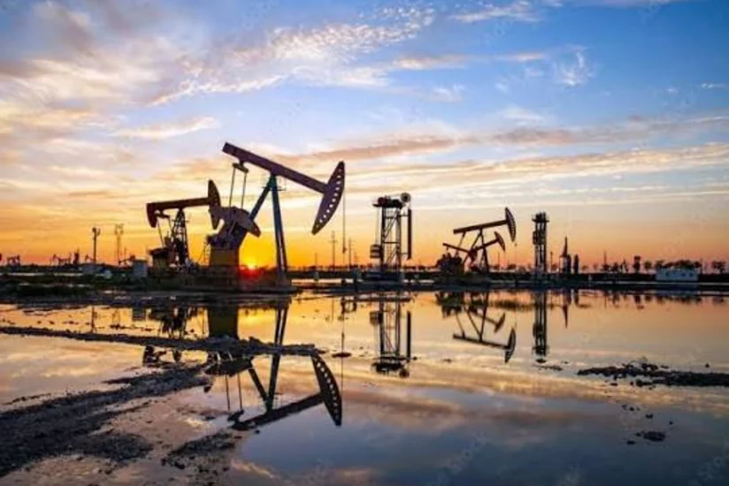 Аргентина вызвала послов Великобритании и Израиля из-за нефтяных разработок у Фолклендских островов