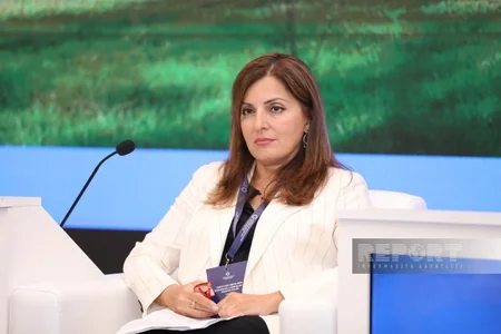 Conference panel discusses religious tolerance in Azerbaijan