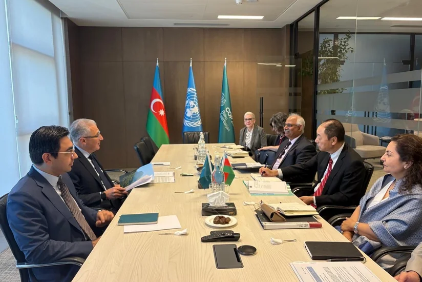 Azərbaycan ilə AİB arasında iqlim fəaliyyəti sahəsində tərəfdaşlığın gücləndirilməsi müzakirə edilib