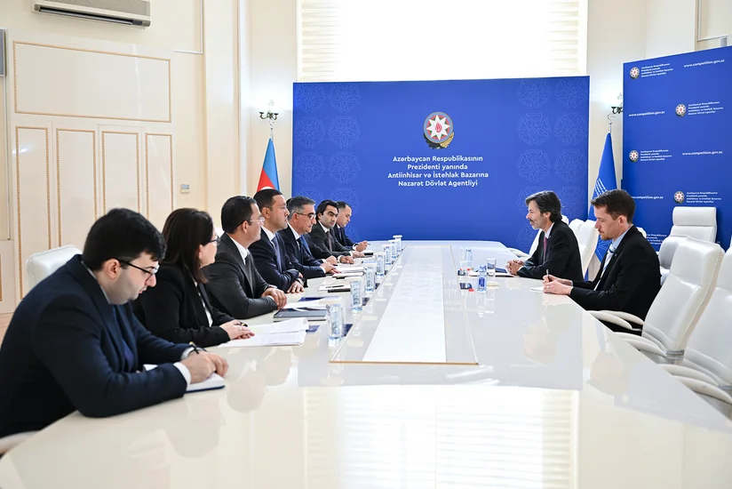 Azerbaijani agency, IEC mull expanding cooperation in electrotechnical standardization