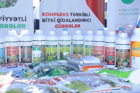 Hacıqabulda Aqrar Biznes Festivalı keçirilib